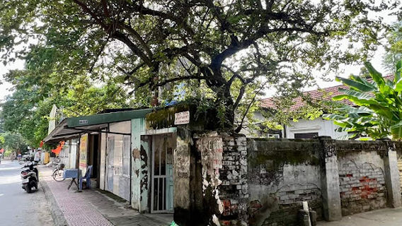 Cát Hải