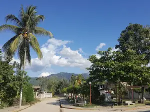 Puerto Pichanaqui