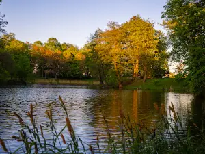 Park in Jankowice