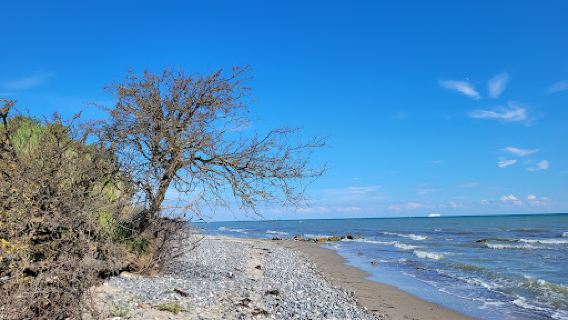 Klintholm Strand