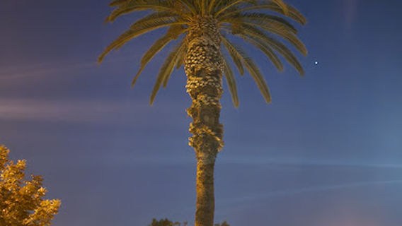 Delano