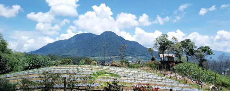 deleng Singkut view