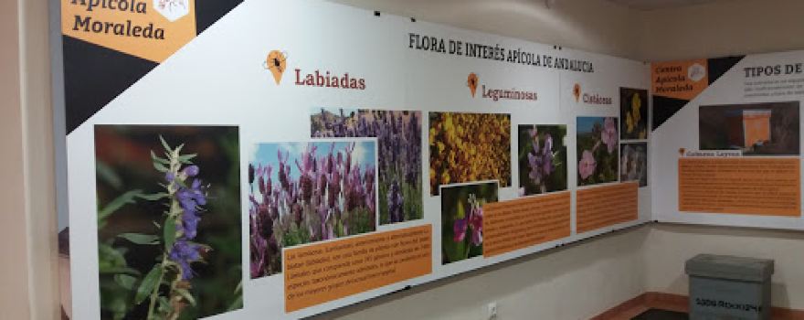 “Centro de Interpretación de los Embalses”
