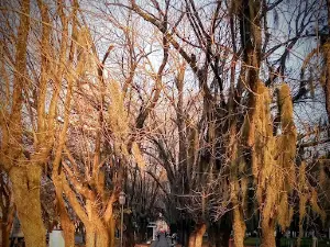 Plaza Jose Maria Bustos