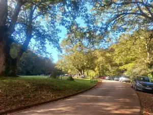 Campa de Ucieda