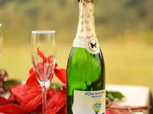 Royal Balloon Rwanda