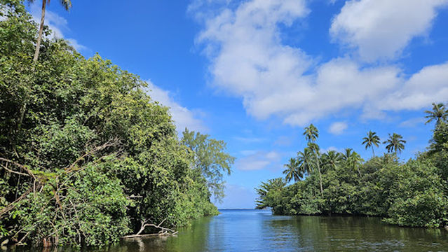 Tahiti Iti Tour and Surf