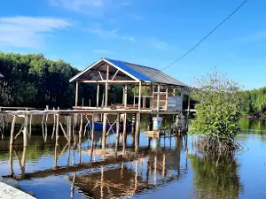 Ekowisata Mangrove Gampong Baro Setia Bakti Aceh Jaya Aceh