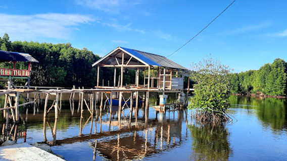 Ekowisata Mangrove Gampong Baro Setia Bakti Aceh Jaya Aceh