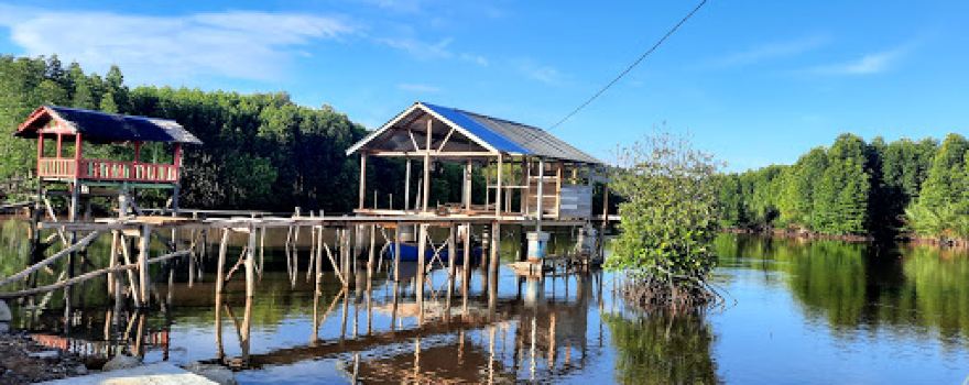 Ekowisata Mangrove Gampong Baro Setia Bakti Aceh Jaya Aceh