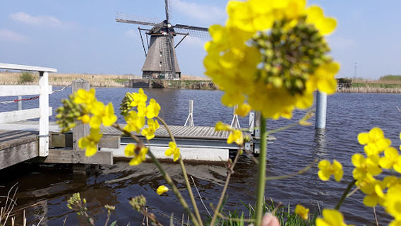 Nederwaard windmill No.5