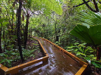 Kume Island Firefly Protection Association.(Firefly Museum.)
