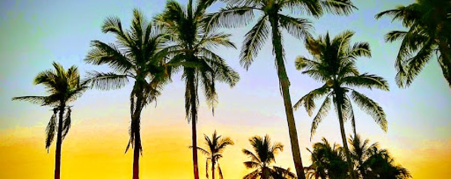 Playa El Dorado