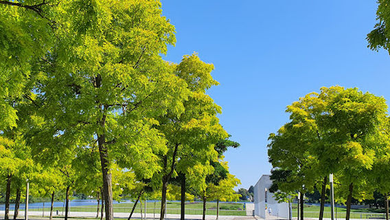 Schweriner Schloßgarten