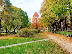 Park im. J. Jonstona