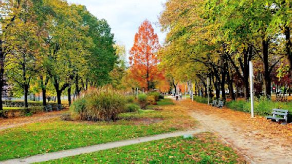 Park im. J. Jonstona