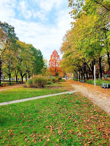Park im. J. Jonstona