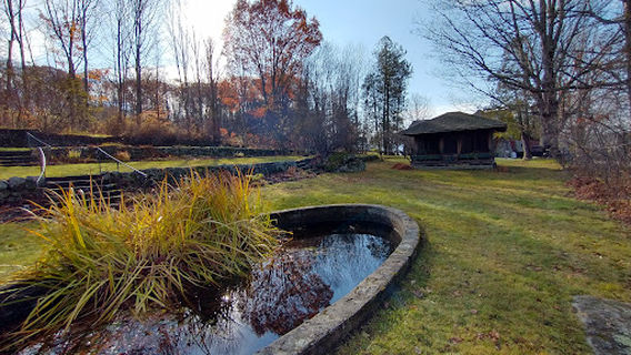 Forest Society North at The Rocks