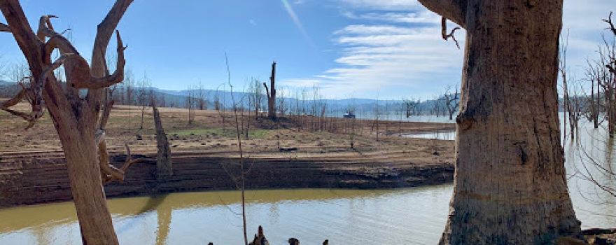 The island camp spot