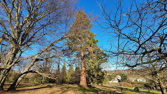 Inkey kastély, Általános Iskola