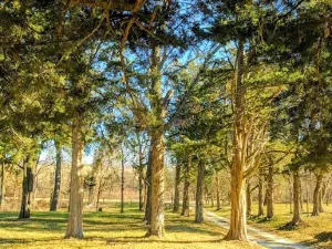 Black Jack Park