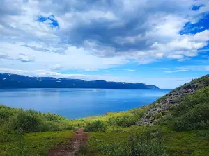 Luovttat - Rullesteinfjæra