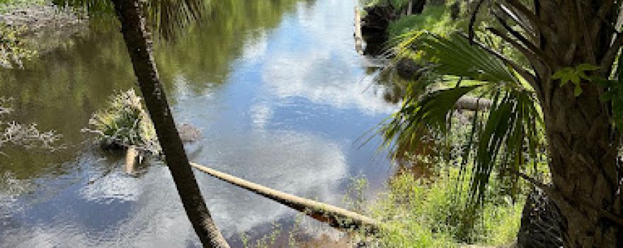 Peace River Park - City of Wauchula