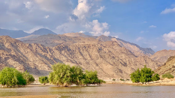 Dibba albaia Dam