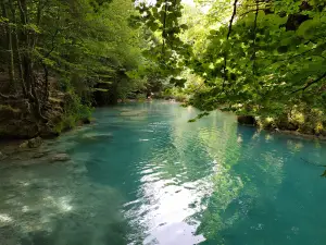 Nacedero del Urederra