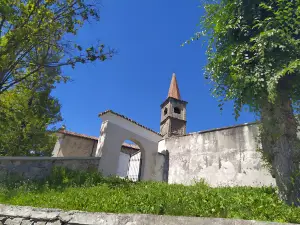 Campi di Lavanda