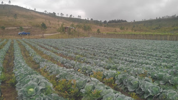 Siguatepeque