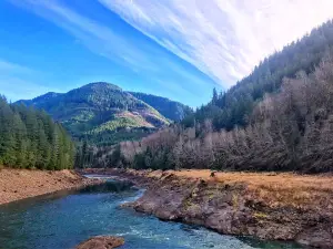 Riffe Lake
