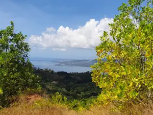 Reserve Forestiere Des Cretes Du Nord