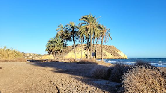 Playa las Palmeras