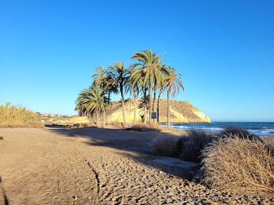 Playa las Palmeras