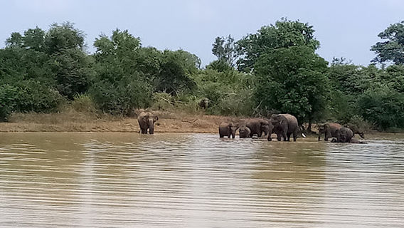 Udawalawa
