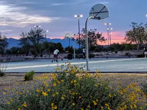 Copper Sky Park Dog Park