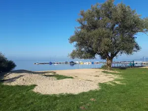 Hundestrand