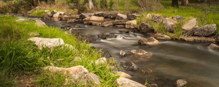Robin Hood Streamside Reserve