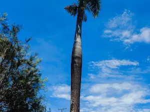 Praça Álvares Mascarenhas