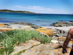 Turpin's Hiking Trail