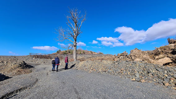 Steinerlebnispfad am Zeilberg