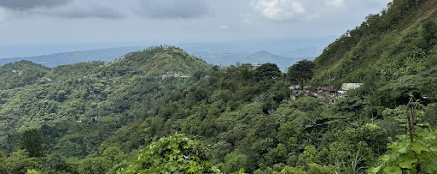 PINETREEHAN (TCH MANINIYOT PLACE)