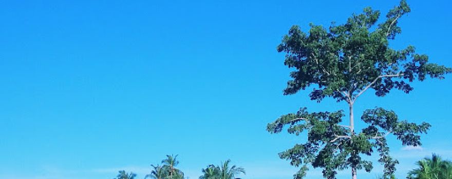 Alun-alun | Lamsiot