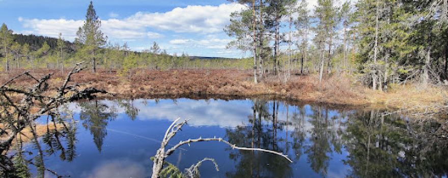Svartån