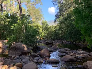 Alligator Creek day-use area