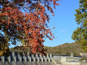 Dam Site Campground Fort Gibson Lake USACE