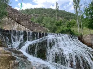 منتزه صوريا باطوفة