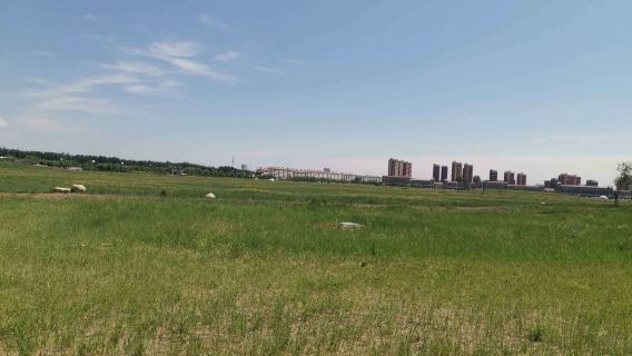 Horqin Tala Urban Grassland