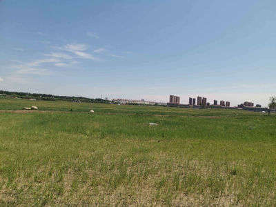 Horqin Tala Urban Grassland